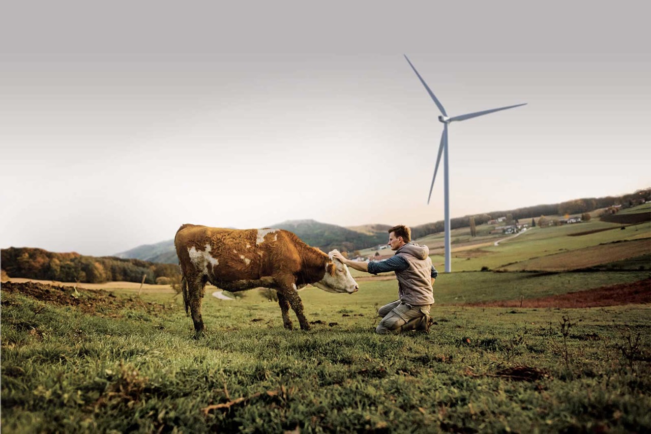 Une personne est à genoux sur un champ herbeux, interagissant avec une vache brune et blanche sous une éolienne dans un paysage rural pittoresque.