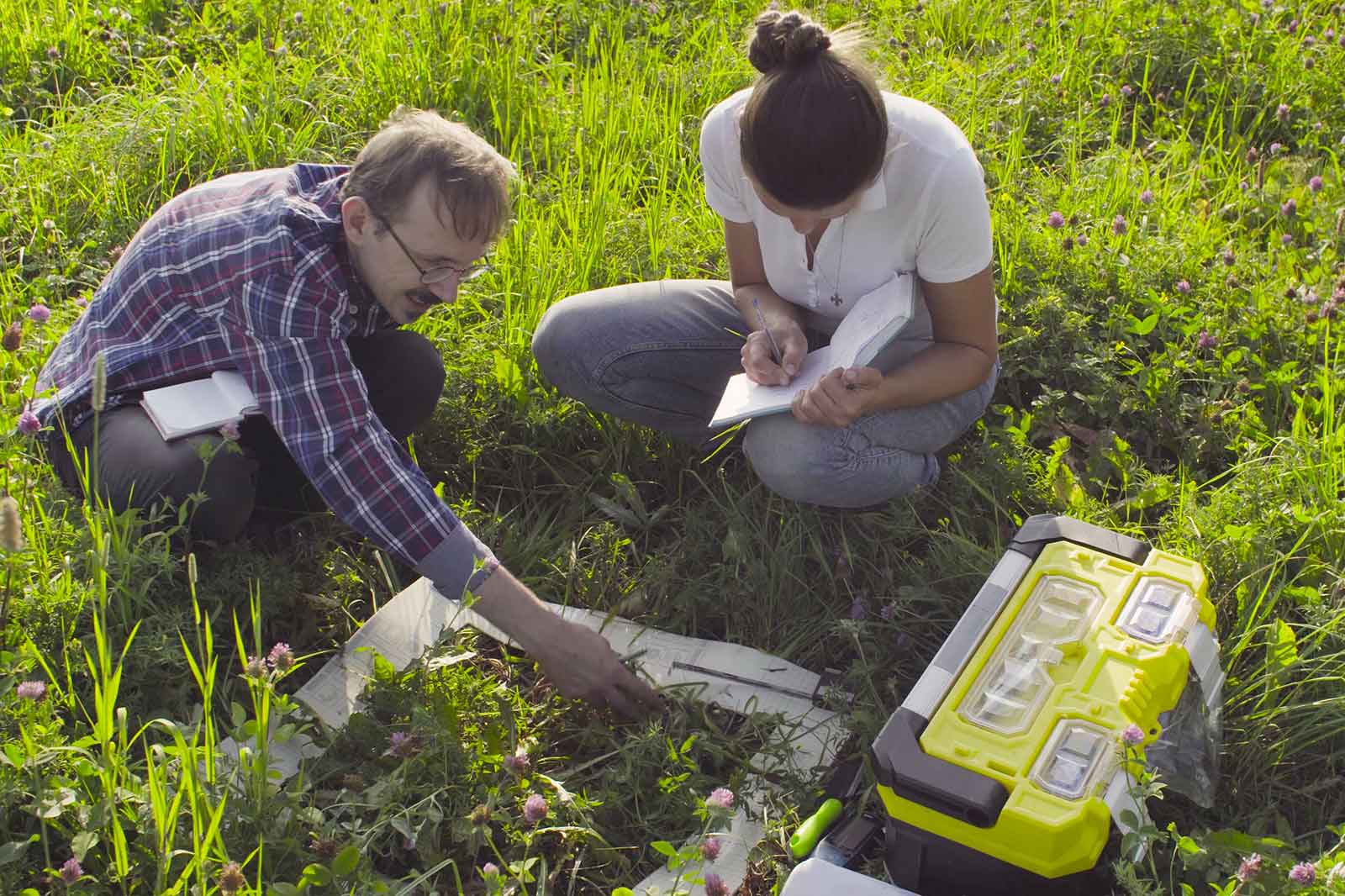 Two people are studying plants on the ground, one is taking notes, and equipment is placed nearby.