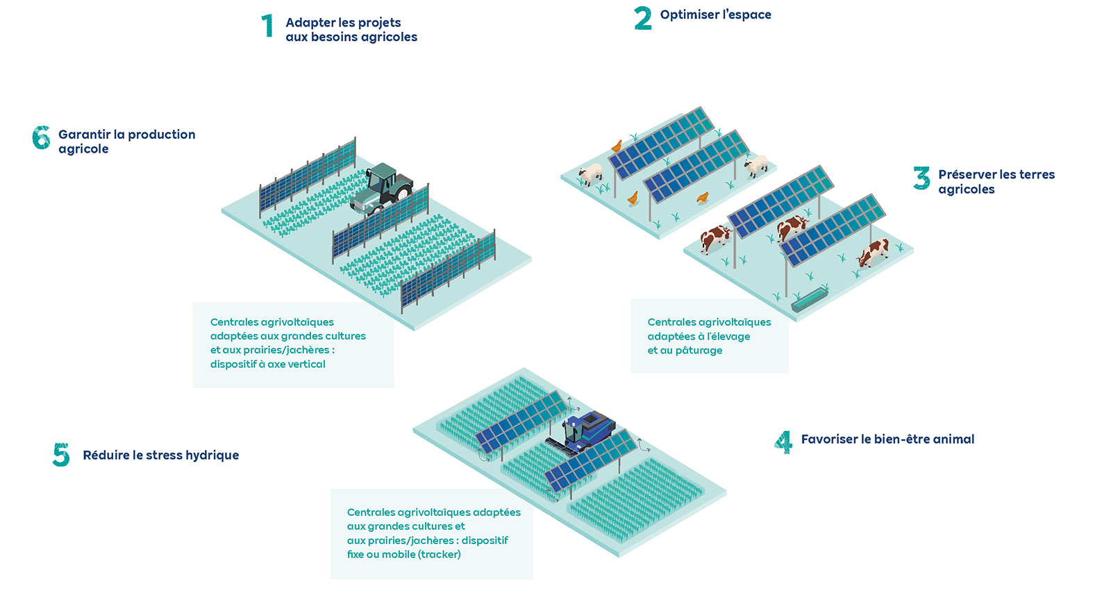 Infographie sur l'agrovoltaïsme avec des étapes pour optimiser l'agriculture et le bien-être animal.