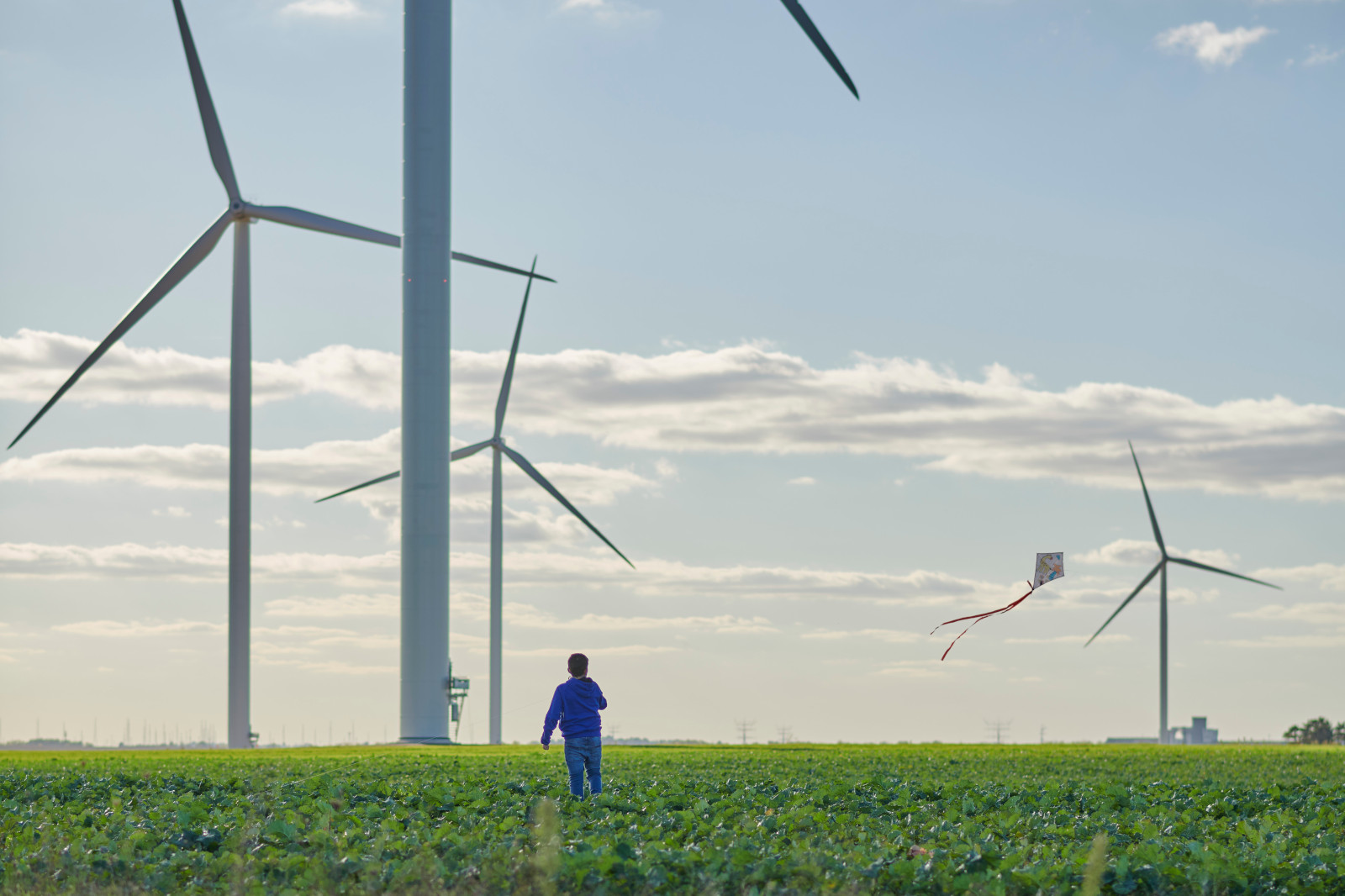 Un enfant fait voler un cerf-volant dans un champ vert avec des éoliennes en arrière-plan sous un ciel clair.