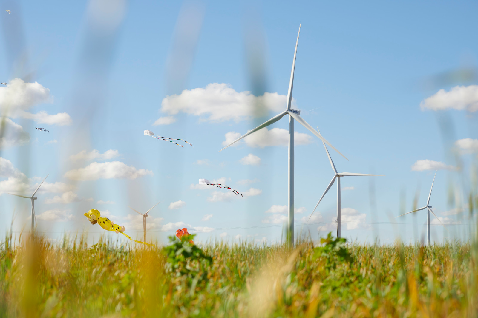 Un champ avec de l'herbe haute, des éoliennes et des cerfs-volants colorés volant dans un ciel bleu clair avec des nuages épars.