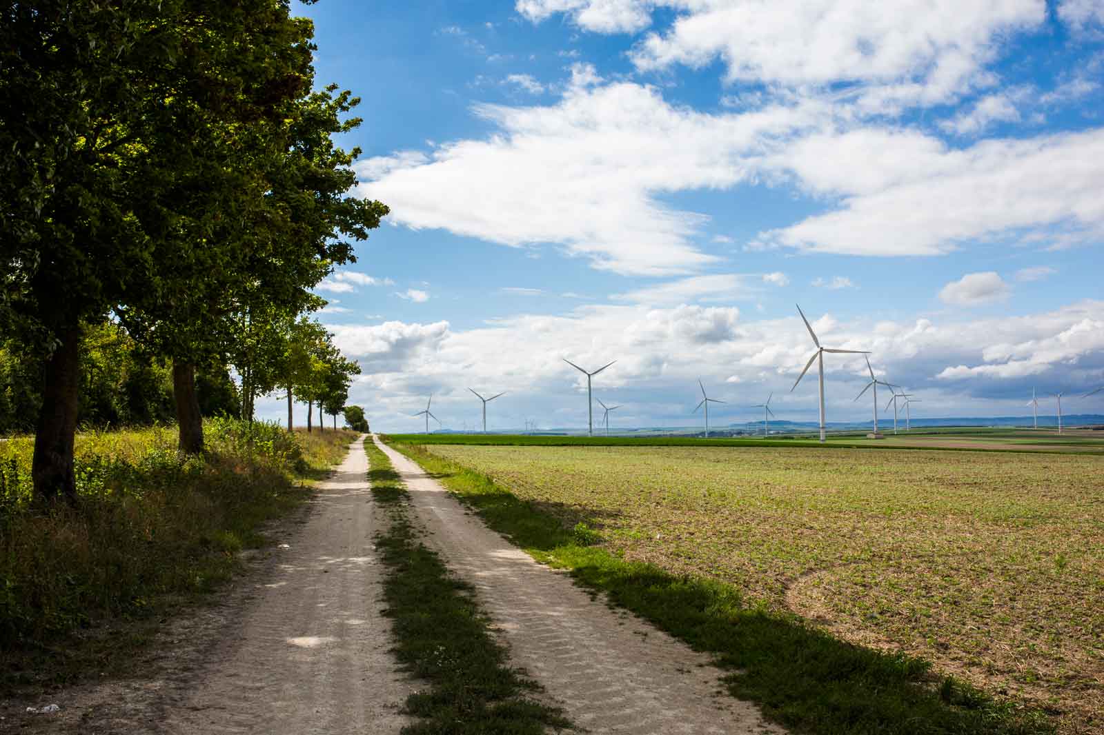 Un chemin de terre entre des arbres et un champ, avec des éoliennes en arrière-plan sous un ciel nuageux.