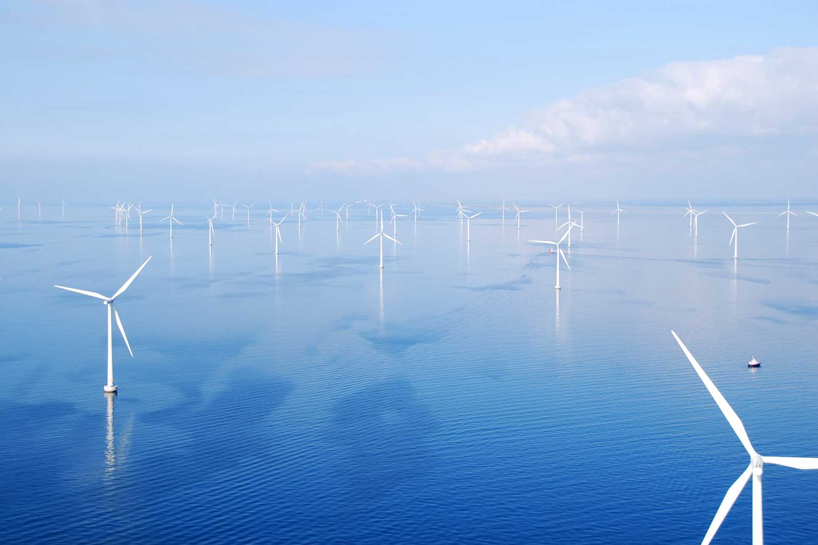 Une vaste mer avec de nombreuses éoliennes se tenant doucement dans l'eau, sous un ciel bleu clair.